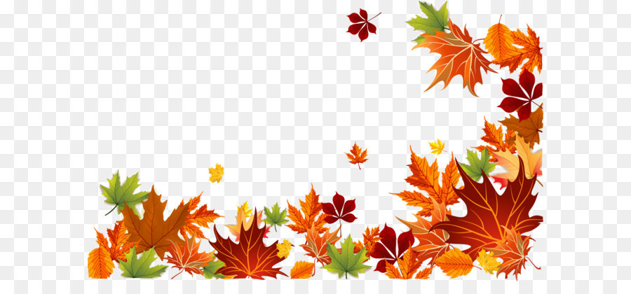 Autumn leaf color Autumn leaf color Euclidean vector - Vector autumn leaves background png download - 1371*847 - Free Transparent Autumn ai,png Download.