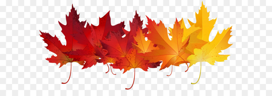 Autumn leaf color Clip art - Red Autumn Leaves Transparent Clip Art Image png download - 8000*3706 - Free Transparent Autumn Leaf Color png Download.