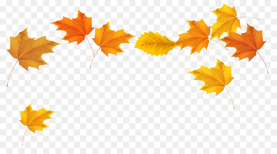 Autumn leaf color Clip art - Falling Leaves Transparent Background png download - 5094*2822 - Free Transparent Leaf png Download.