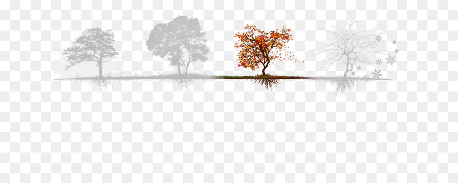 Line Water Point Tree Silhouette - fall season png download - 772*347 - Free Transparent Line png Download.