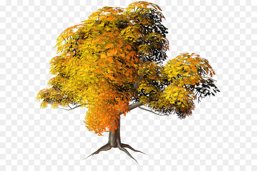 Autumn Tree Clip art - Large Yellow Fall Tree PNG Clipart png download - 2000*1787 - Free Transparent Tree png Download.
