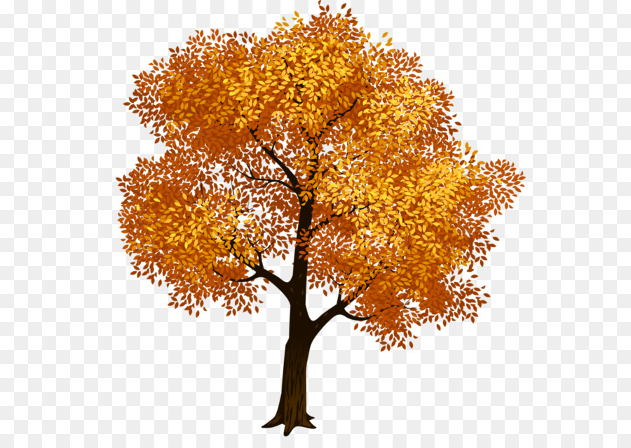Clip art Portable Network Graphics Fall Tree Image - tree png download - 600*629 - Free Transparent Tree png Download.