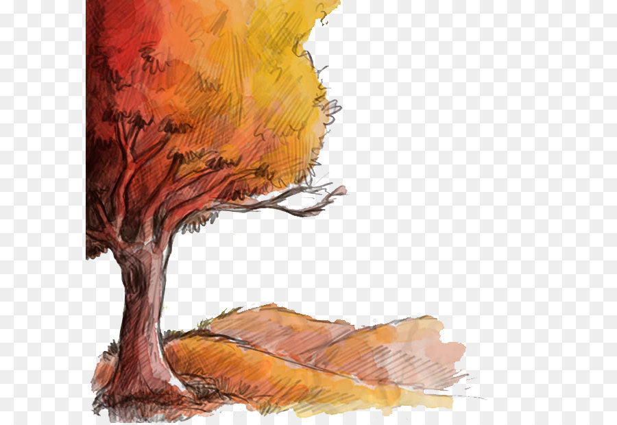 Autumn Drawing Euclidean vector - Fall tree png download - 650*617 - Free Transparent Drawing png Download.