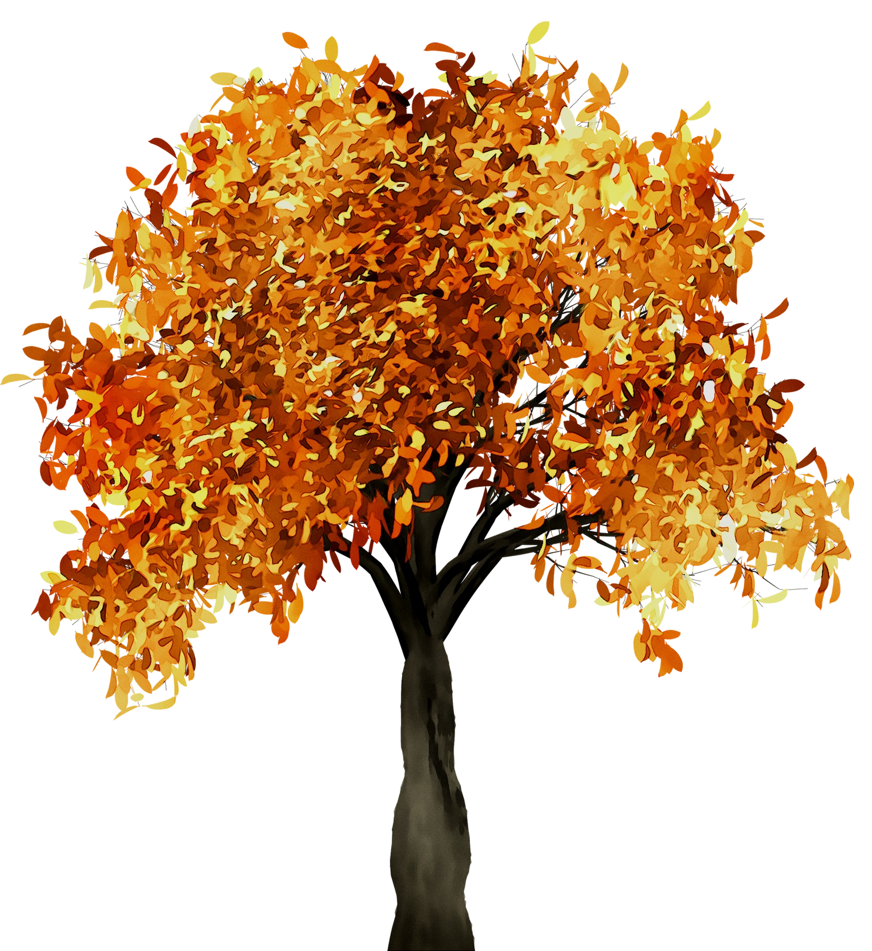 Fall Tree Branch Portable Network Graphics Trunk - png download - 1754