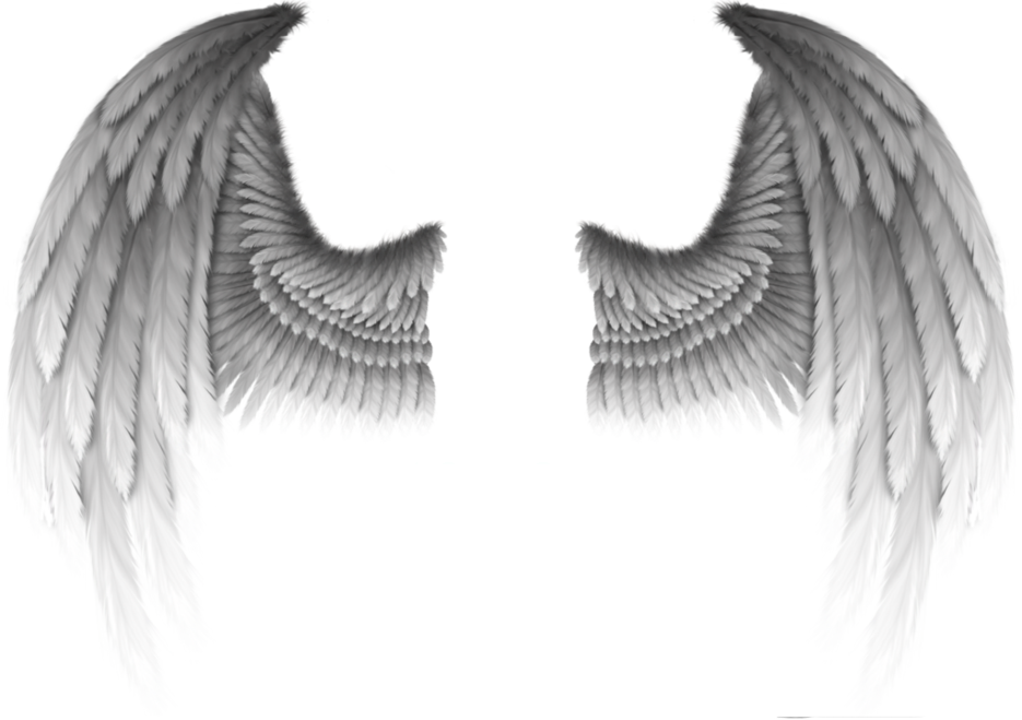 Fallen angel Devil Wing Demon - Devil's wings png download ...