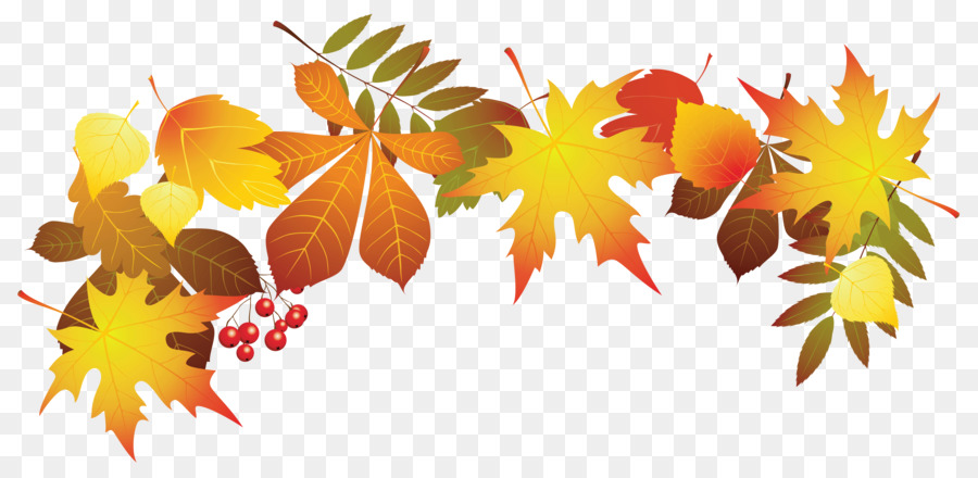Autumn leaf color Clip art - autumn leaves png download - 6759*3276 - Free Transparent Autumn png Download.