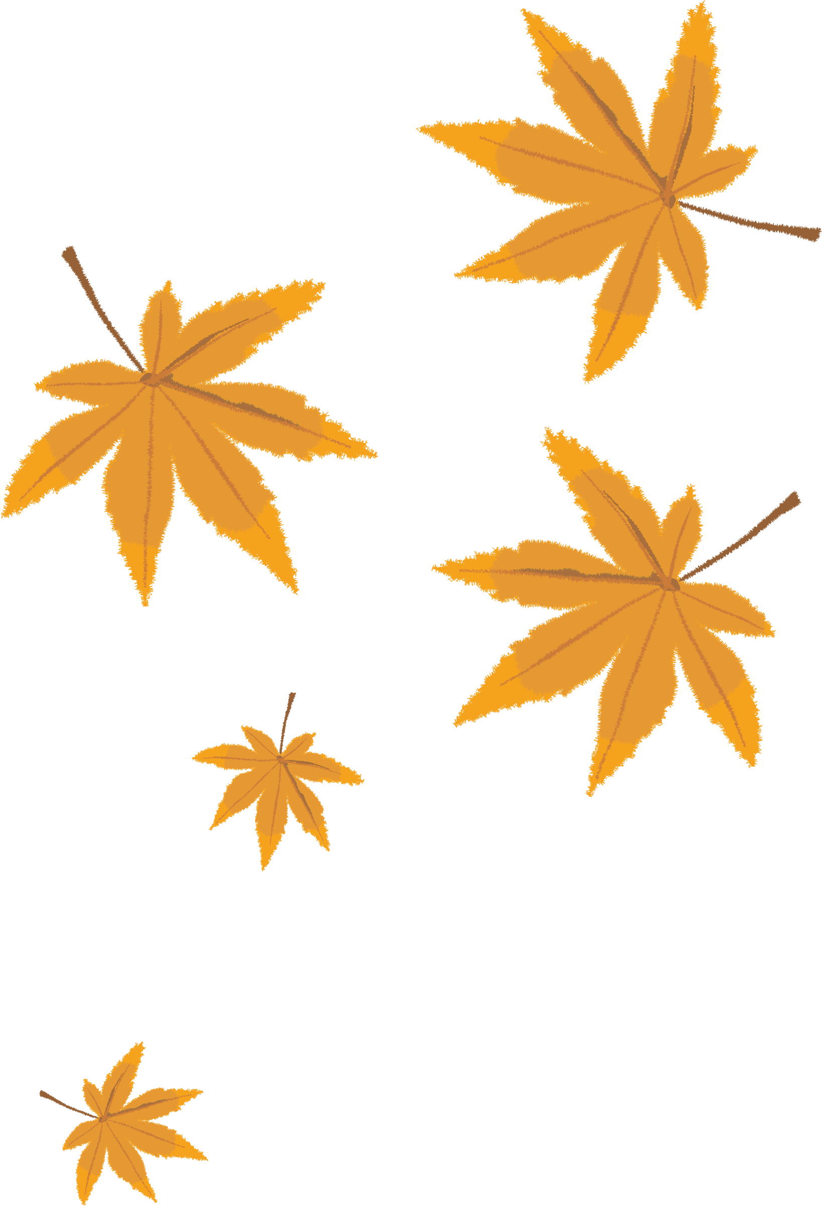 Leaf Cartoon - Autumn leaves png vector material png download - 1637