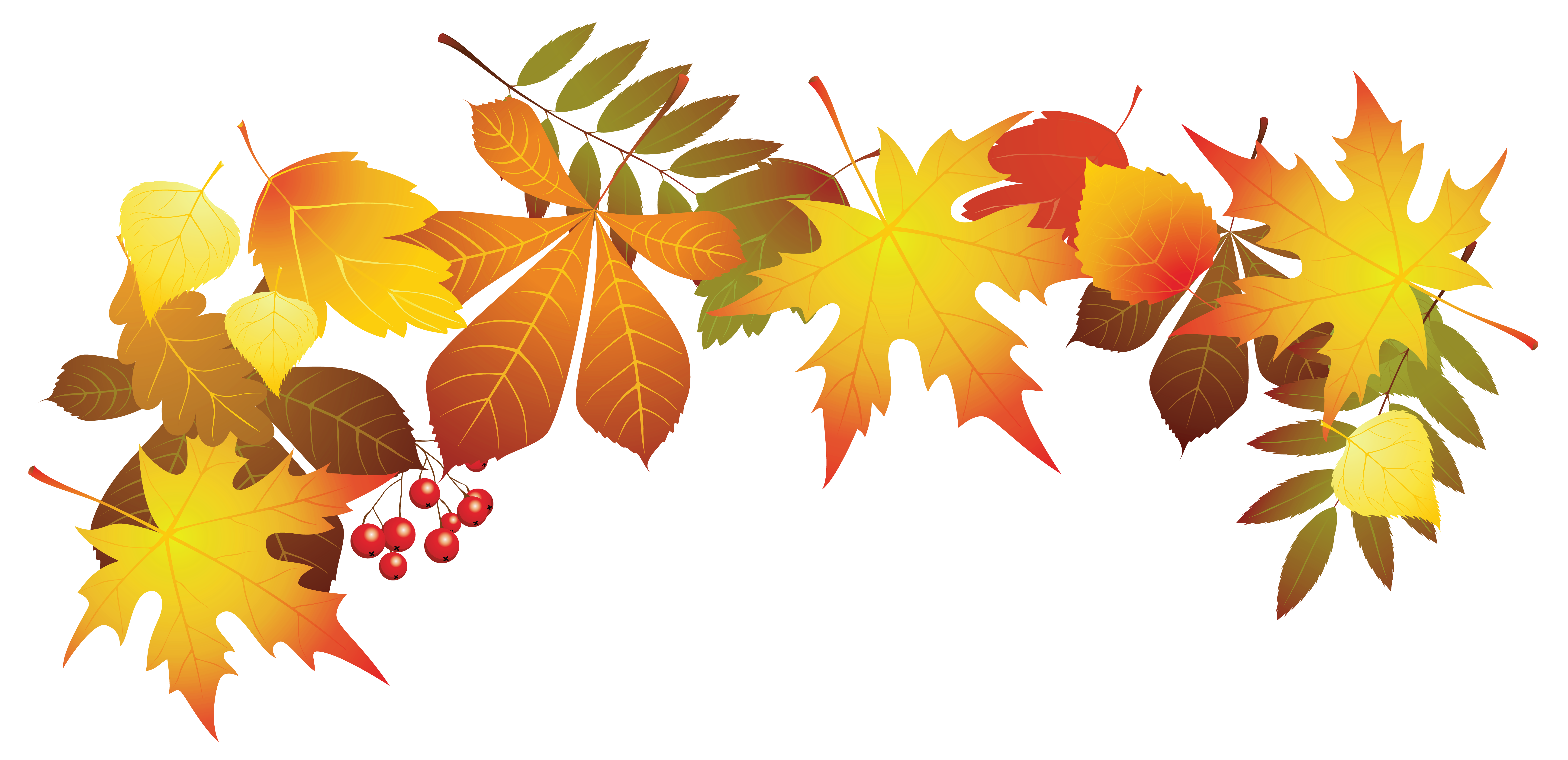 Autumn leaf color Clip art autumn leaves png download 6759*3276