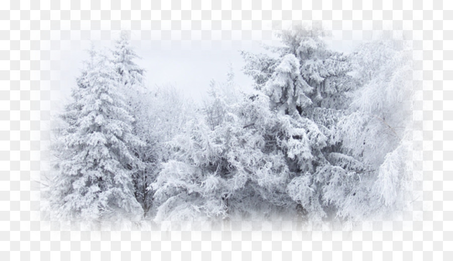 Winter Snow Desktop Wallpaper Cold - winter png download - 980*551 - Free Transparent Winter png Download.
