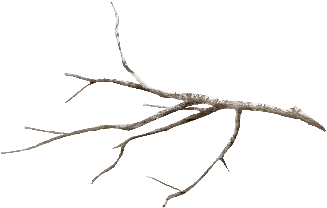 Twig Tree Branch Leaf Flower - Snow-covered branches png download