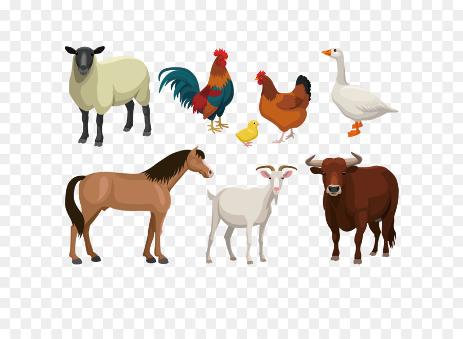 Cattle Goat Sheep Livestock - Farm animal vector illustration png download - 1500*1500 - Free Transparent Goat ai,png Download.