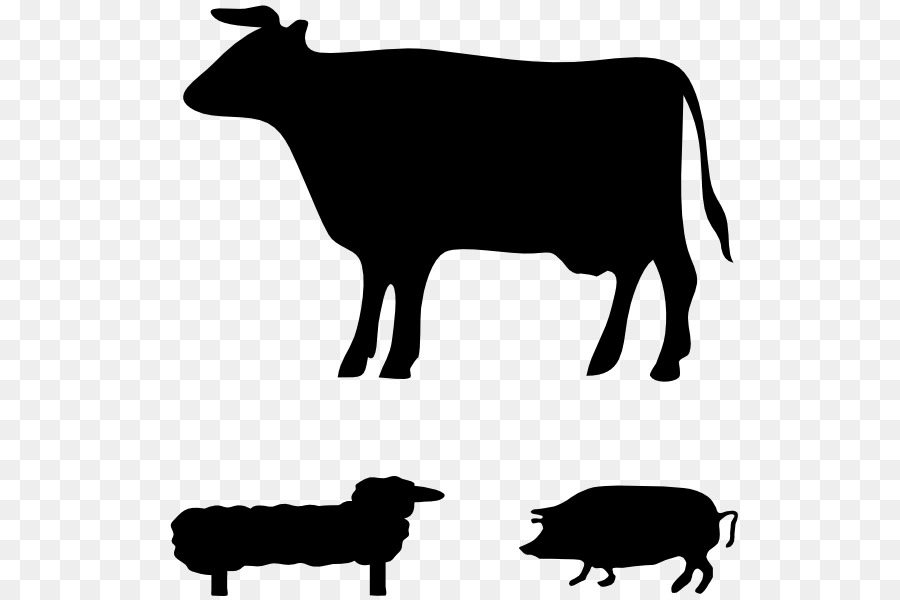 Angus cattle Jersey cattle Welsh Black cattle Guernsey cattle Holstein Friesian cattle - farm animals png download - 576*596 - Free Transparent Angus Cattle png Download.