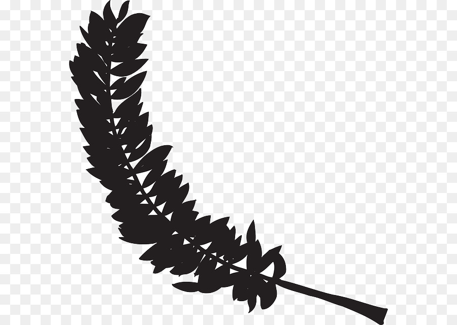 Bird Feather Clip art - feathers vector png download - 628*640 - Free Transparent Bird png Download.