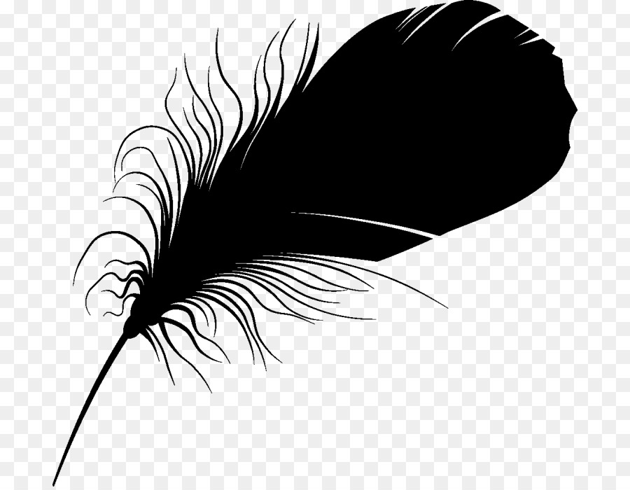 Feather Font Eyelash Beak Silhouette -  png download - 750*695 - Free Transparent Feather png Download.