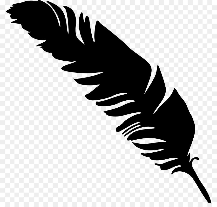 Feather Clip art - feather png download - 850*845 - Free Transparent Feather png Download.