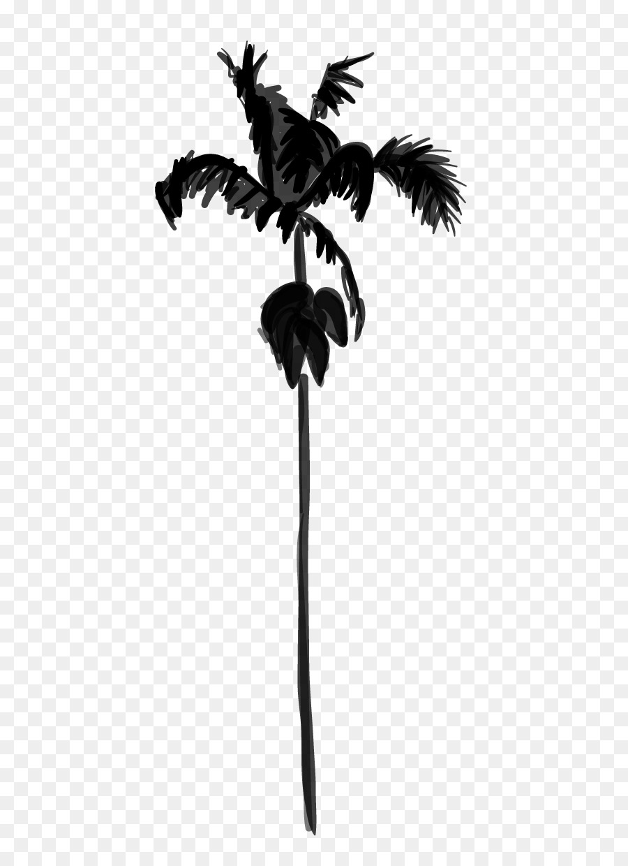 Palm trees Black & White - M Silhouette Feather -  png download - 500*1222 - Free Transparent Palm Trees png Download.