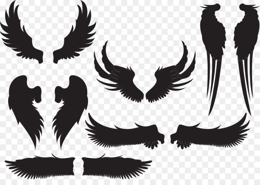 Silhouette Euclidean vector - Creative wings collection png download - 5350*3690 - Free Transparent Silhouette png Download.