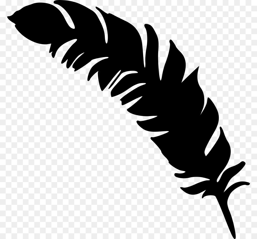 Feather Silhouette Drawing - feather png download - 850*840 - Free Transparent Feather png Download.