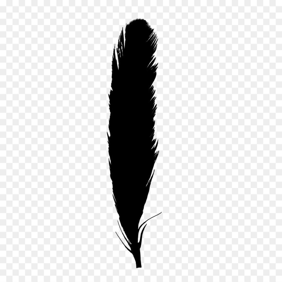 Monochrome photography Feather Quill - feather png download - 894*894 - Free Transparent Monochrome Photography png Download.