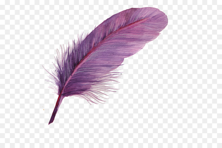 Feather Icon - feather png download - 2557*2346 - Free Transparent Feather png Download.