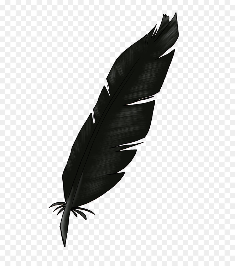 Feather Light Clip art - feather png download - 600*1009 - Free Transparent Feather png Download.