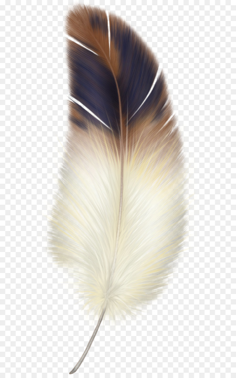 Feather Bird Clip art - Feather PNG png download - 888*1950 - Free Transparent Feather png Download.