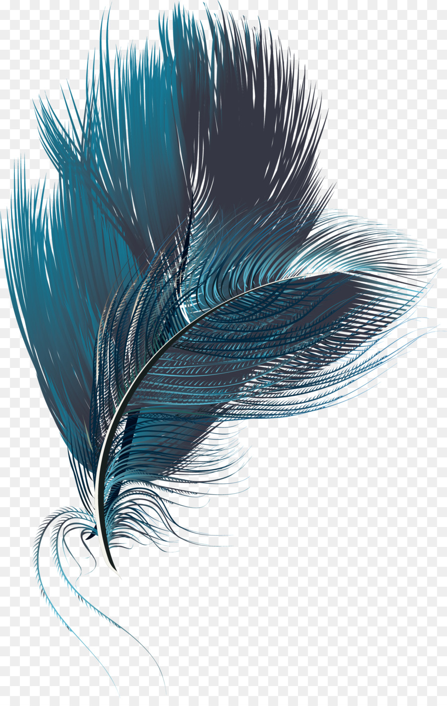 Feather Computer file - Blue exquisite feathers png download - 1717*2681 - Free Transparent Feather png Download.