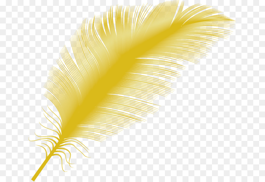 Yellow Feather Close-up - feather png download - 705*618 - Free Transparent Yellow png Download.