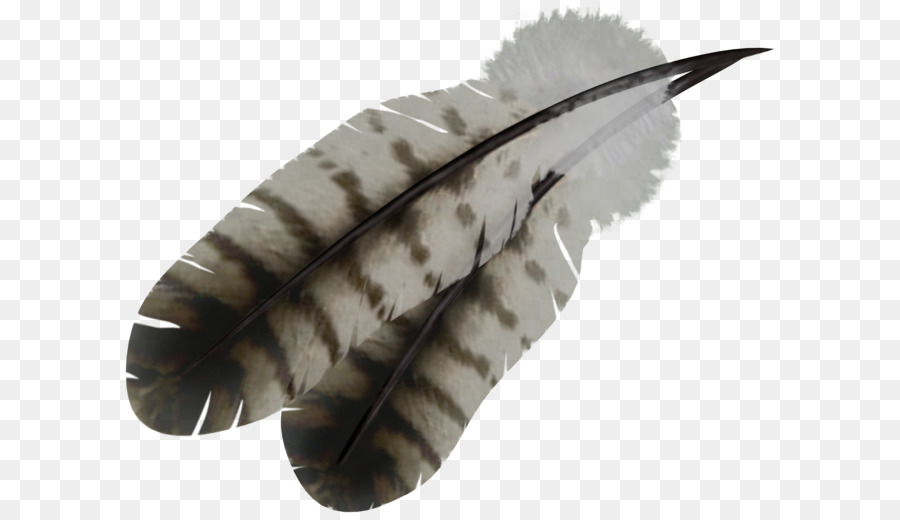 Feather Bird - Feather PNG png download - 2185*1725 - Free Transparent Feather png Download.