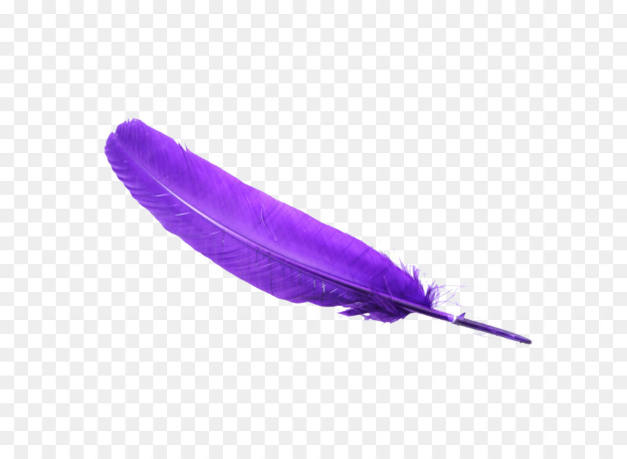 Feather Bird - Feather PNG png download - 1024*1024 - Free Transparent Bird png Download.