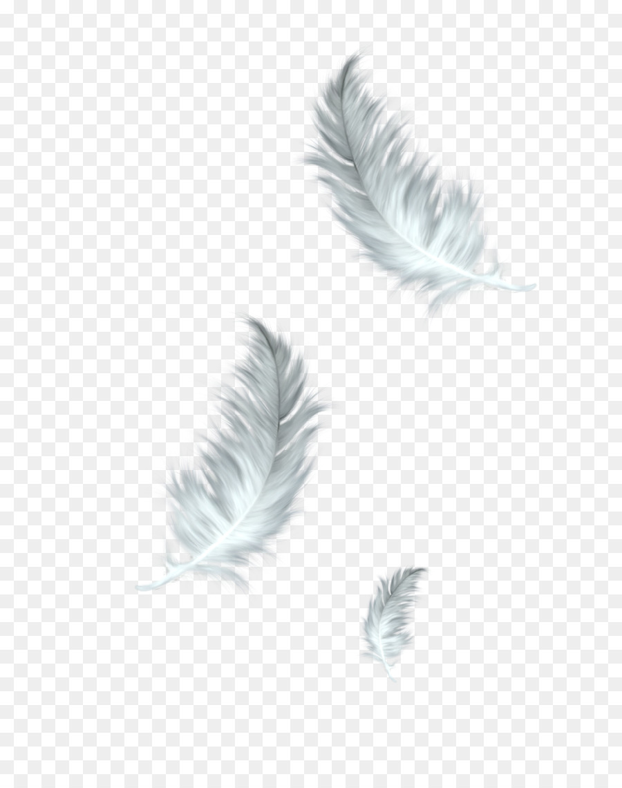 The Floating Feather Bird Clip art - feathers png download - 1200*1500 - Free Transparent Feather png Download.