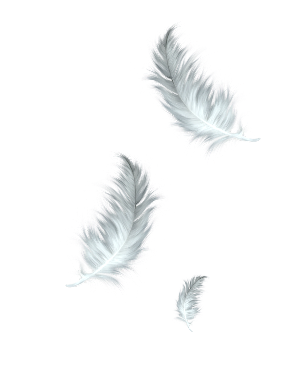 The Floating Feather Bird Clip art - feathers png download - 1200*1500