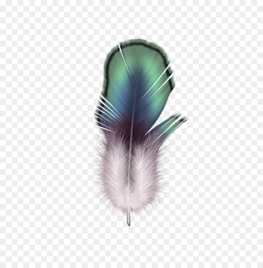 Firebird Feather Drawing - feather png download - 4417*4500 - Free Transparent Bird png Download.