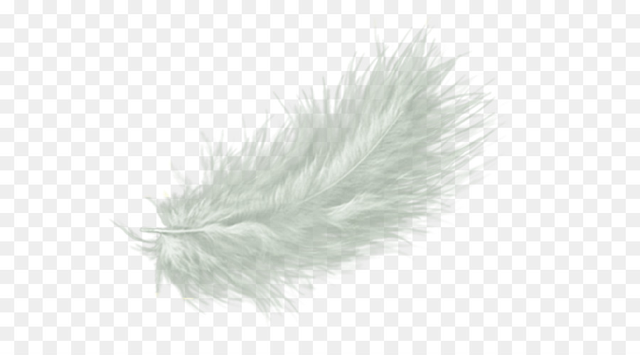 Free Feather Transparent Background, Download Free Feather Transparent