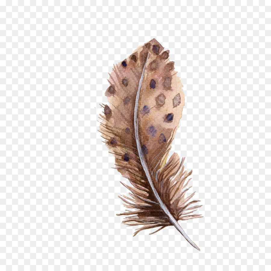 Bird Feather Euclidean vector - Brown spotted feathers png download - 1600*1600 - Free Transparent Bird png Download.