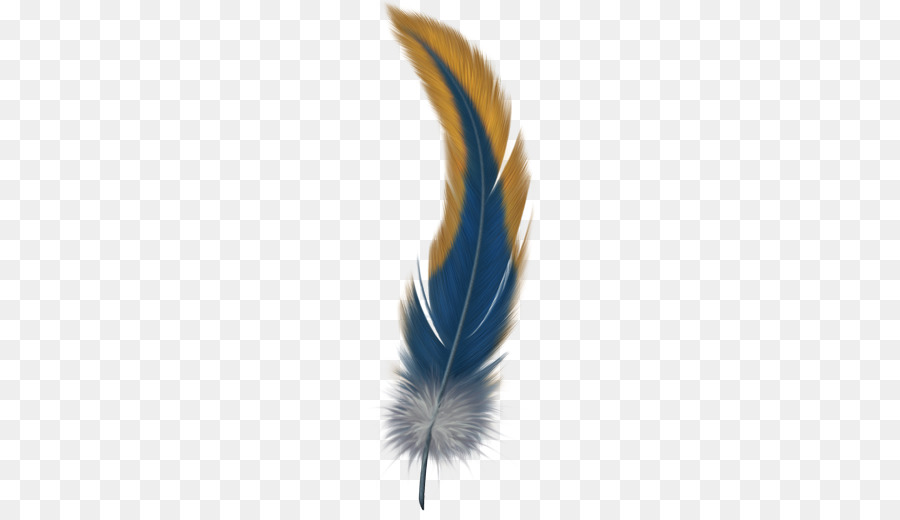 Bird Feather Clip art - feather png download - 512*512 - Free Transparent Bird png Download.