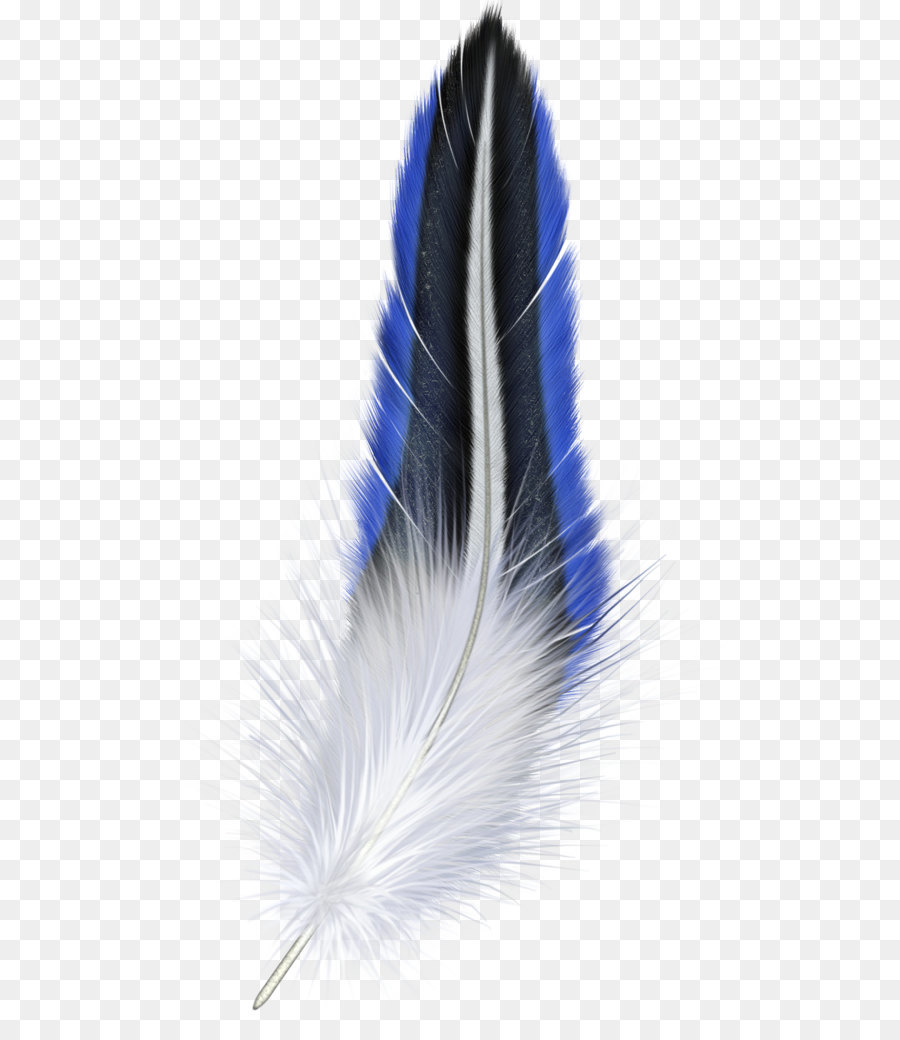 Blue Feather - Feather PNG png download - 553*1024 - Free Transparent Bird png Download.