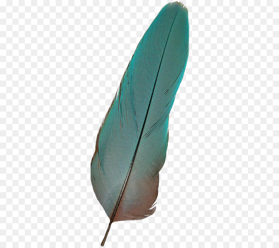 Bird Feather - Feathers png download - 330*800 - Free Transparent Bird png Download.
