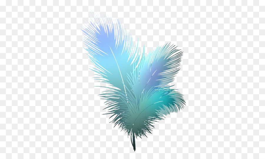Bird Feather Clip art - feather png download - 550*539 - Free Transparent Bird png Download.