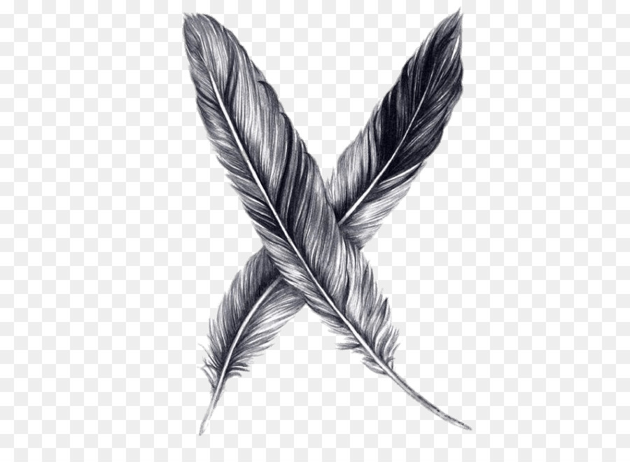 Drawing Feather Pencil Sketch - feather png download - 600*660 - Free Transparent Drawing png Download.