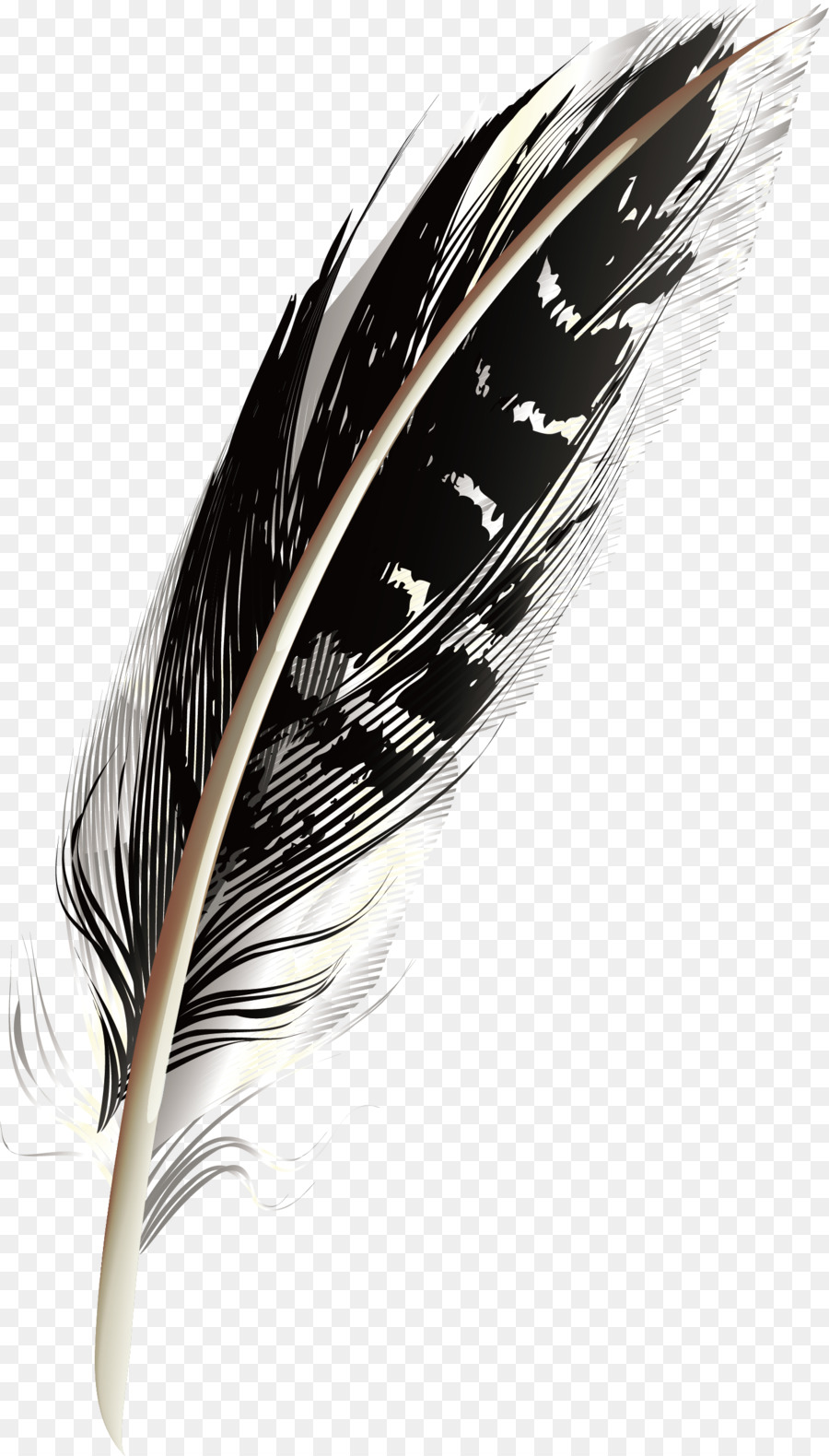 Feather - A black pattern feathers png download - 1488*2612 - Free Transparent Feather png Download.