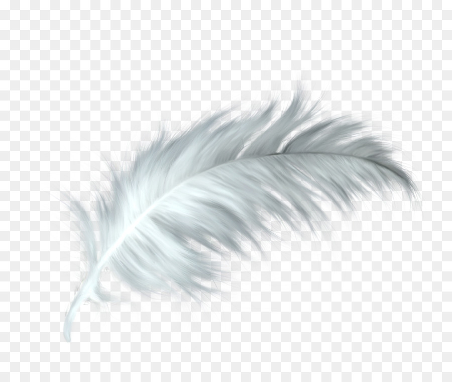 White feather Healing Quill Paris - white feather png download - 896*754 - Free Transparent Feather png Download.