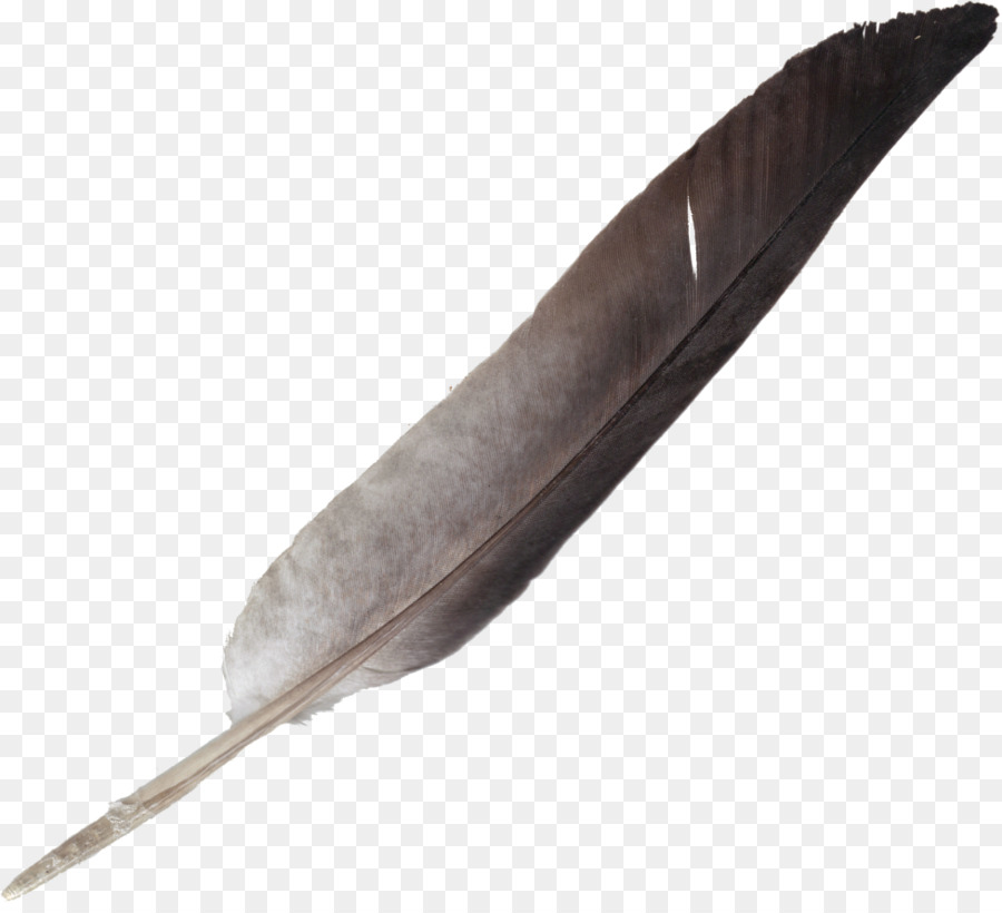 Feather Quill Clip art - feather png download - 976*879 - Free Transparent Feather png Download.