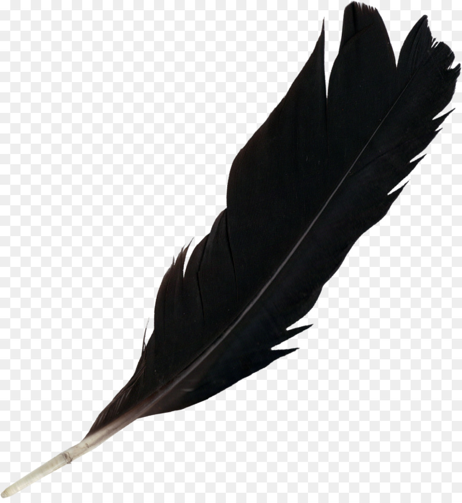 Feather Light - feather png download - 933*1008 - Free Transparent Feather png Download.