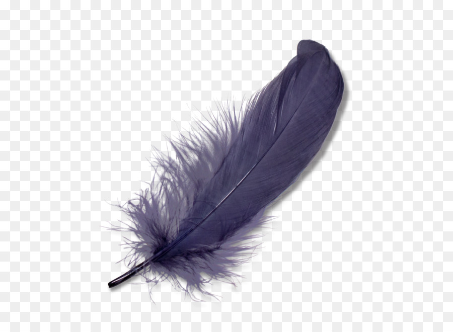 Feather Icon Bird - Feather PNG png download - 1120*1120 - Free Transparent Feather png Download.