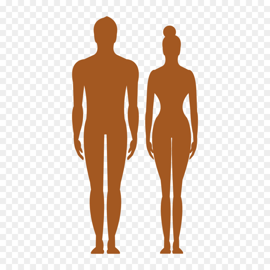 Human Body Silhouette Clip Art Vector Man Woman Sign Body
