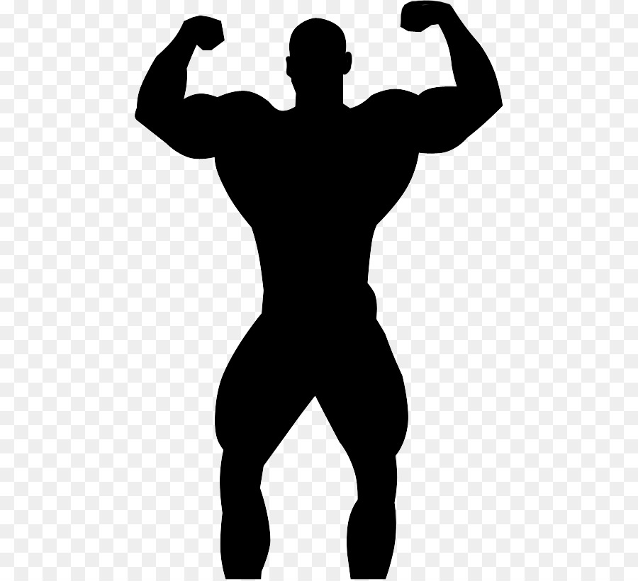 Silhouette Professional bodybuilding Physical fitness - bodybuilding png download - 520*818 - Free Transparent Silhouette png Download.