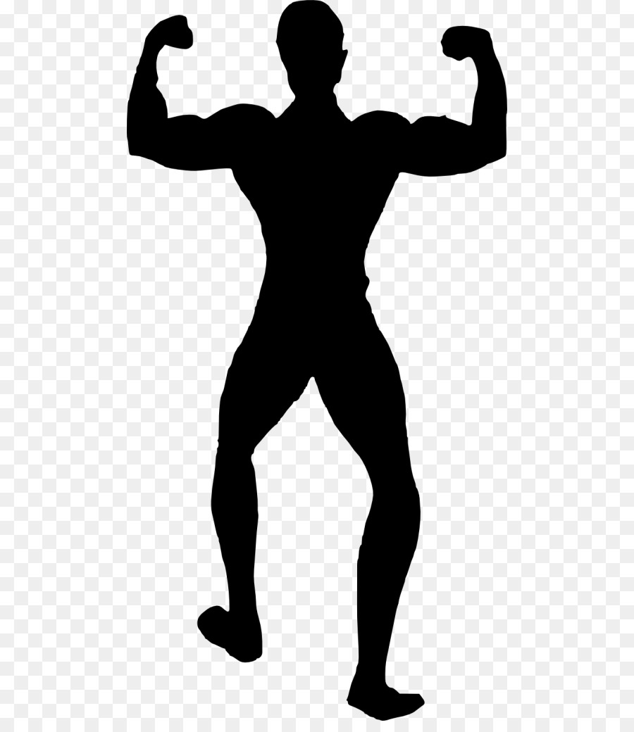Silhouette Female Bodybuilding Physical fitness - bodybuilding png download - 540*1024 - Free Transparent Silhouette png Download.
