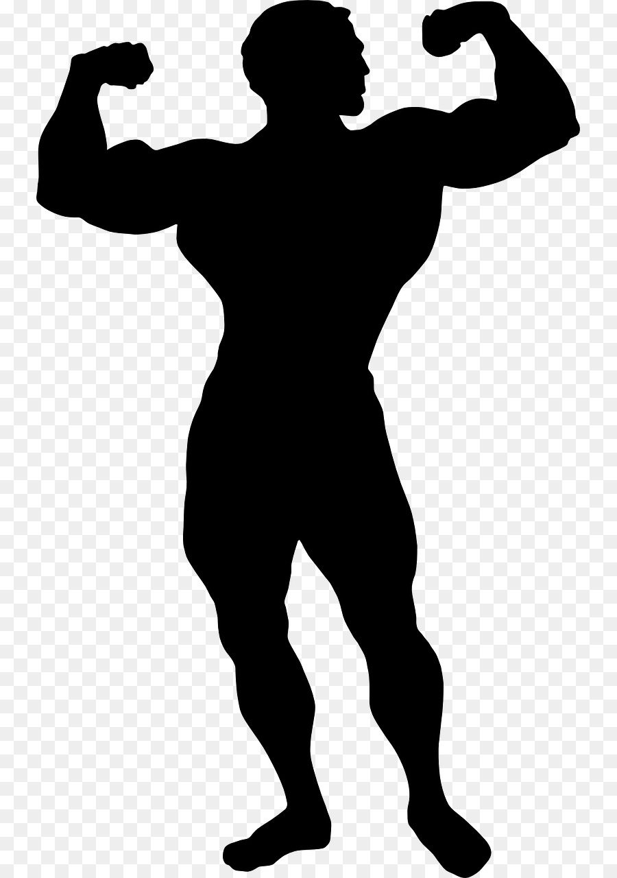 Bodybuilding Clip art Illustration Silhouette Image -  png download - 793*1280 - Free Transparent Bodybuilding png Download.