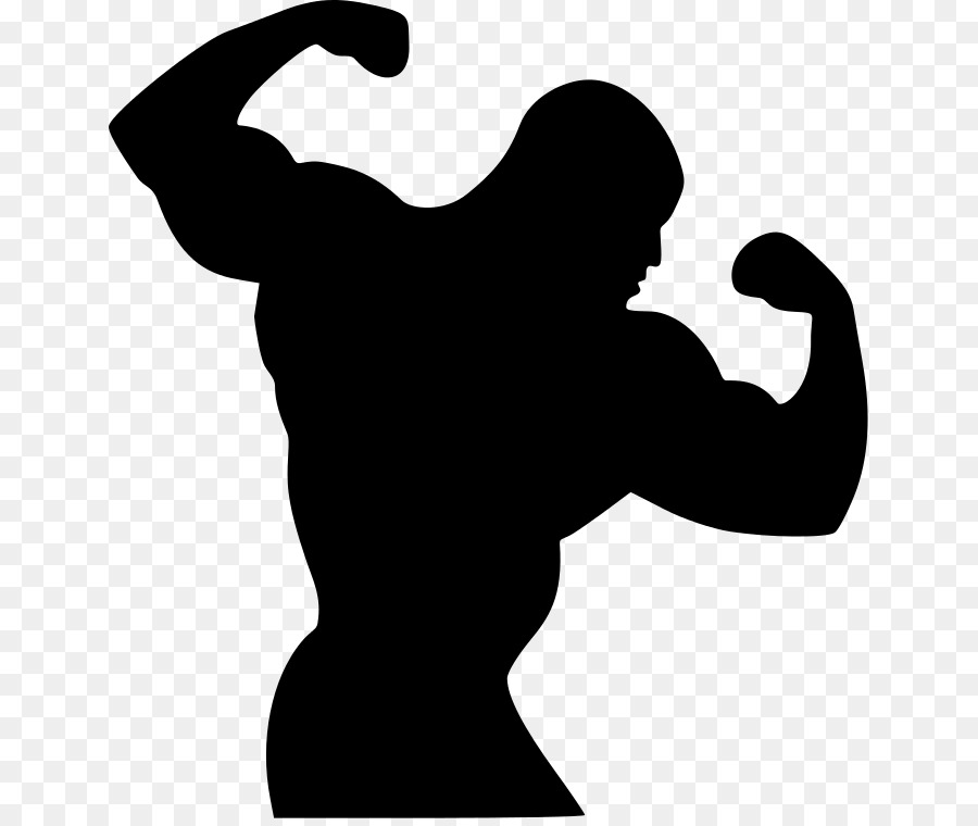 Bodybuilding.com Physical fitness Silhouette - bodybuilding png download - 699*753 - Free Transparent Bodybuilding png Download.